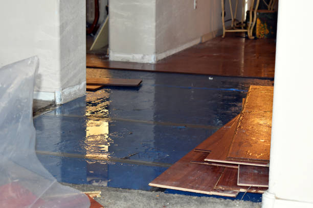 Professional Flood Cleanup technician working in Mattapoisett, MA